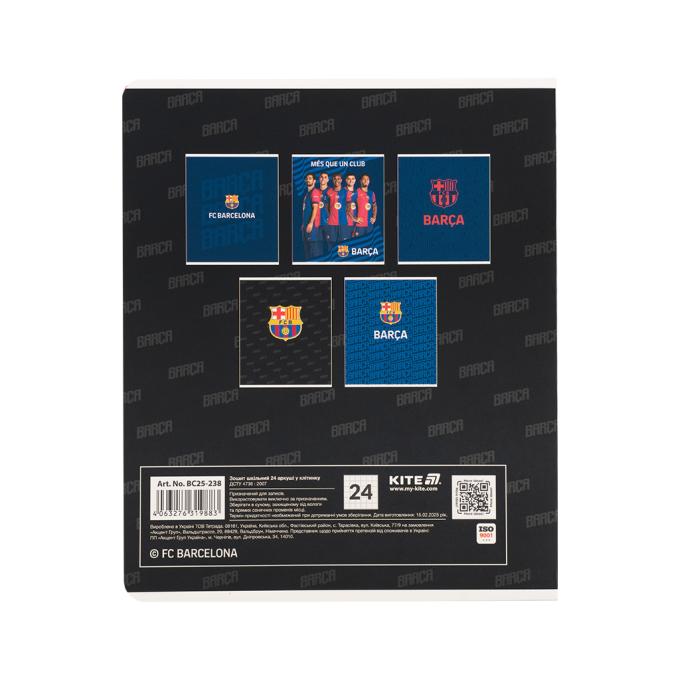 Kite BC25-238