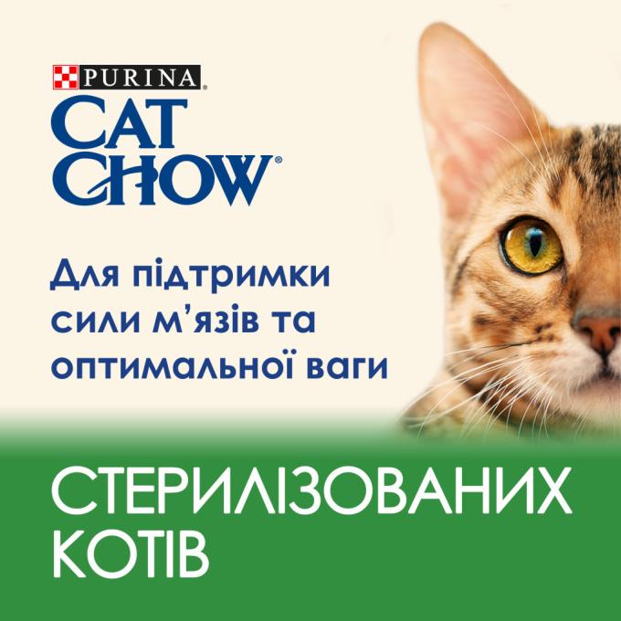 Purina Cat Chow 7613032233051