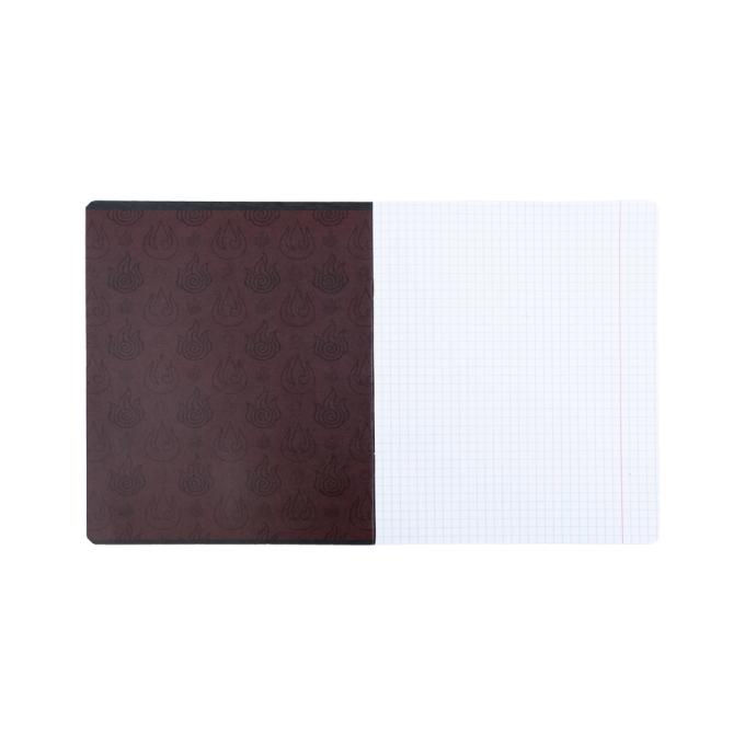 Kite AV24-236