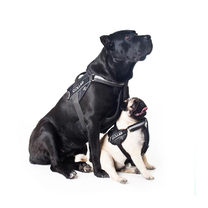 Dog Extreme 07051