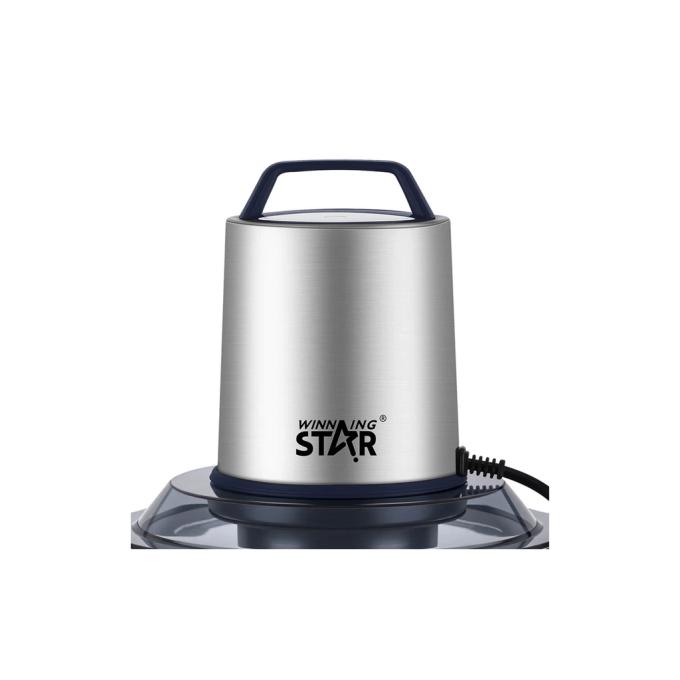 WINNINGSTAR ST-5508 250W 2L Silver