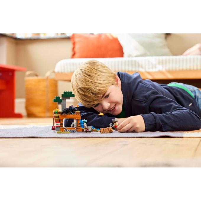 LEGO 21269