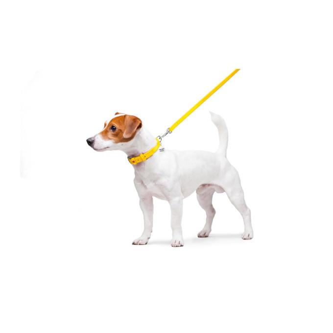 WAUDOG 33728