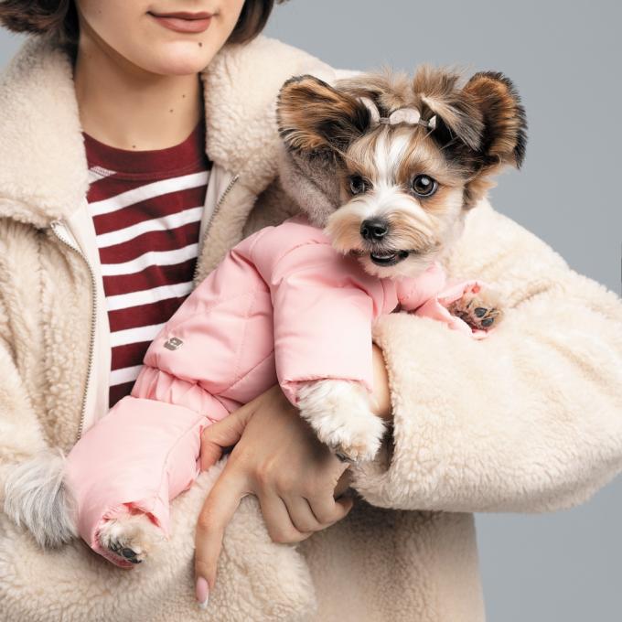 Pet Fashion 4823082428861