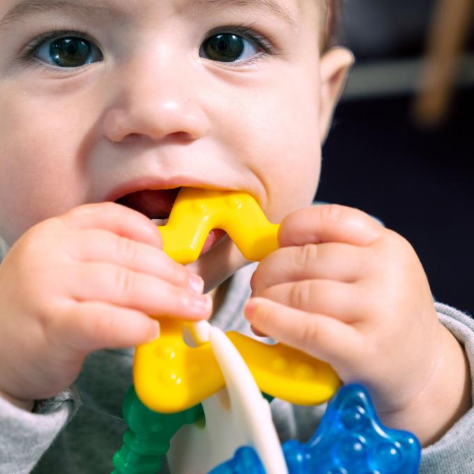 Baby Einstein 13158