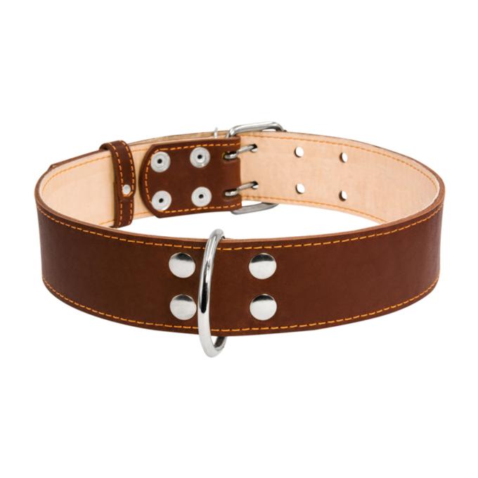 Collar 03596