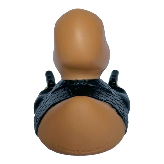 Funny Ducks 1326