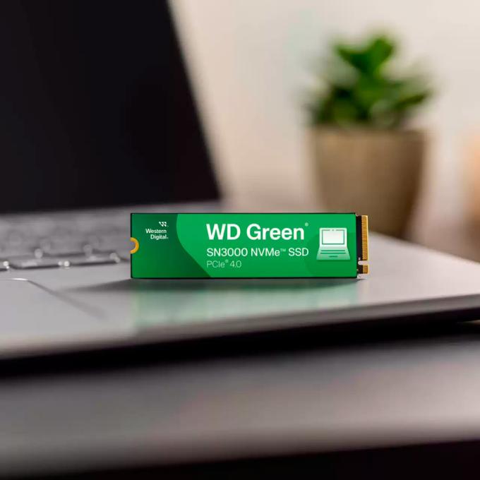 WD WDS100T4G0E