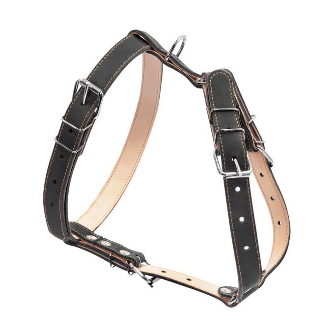 Collar 06421