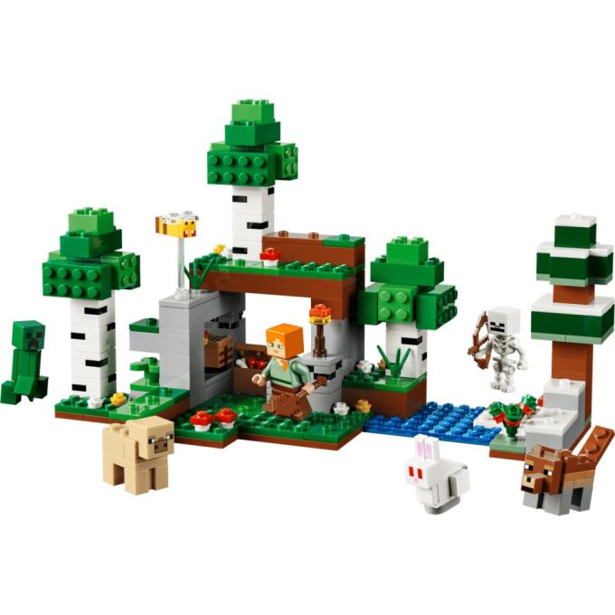 LEGO 21593