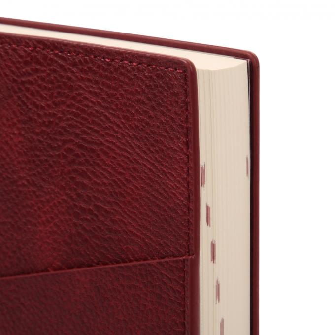 Leo planner 252645