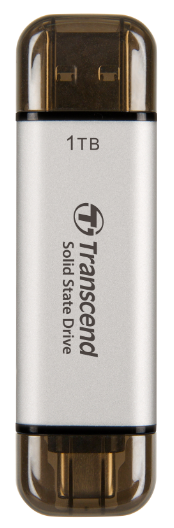 Transcend TS1TESD310S