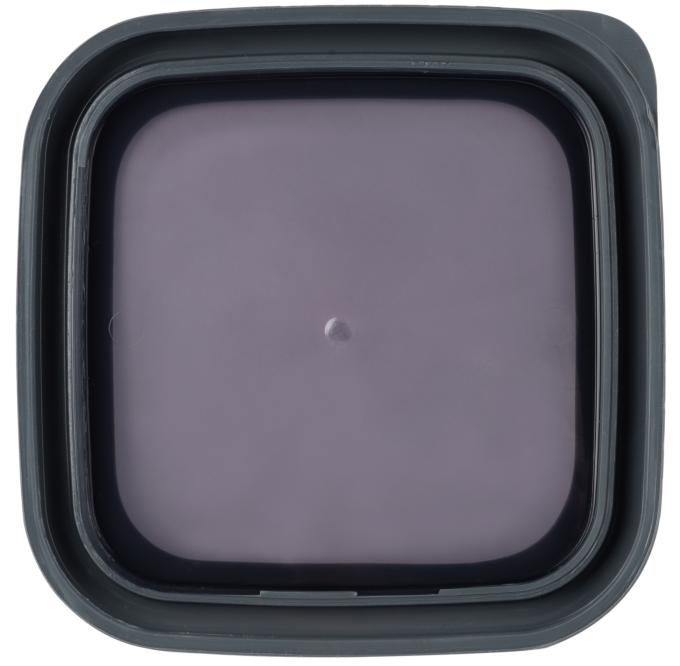 VIOLET HOUSE 0311 Transparent Black