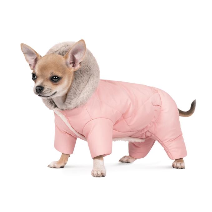 Pet Fashion 4823082428861