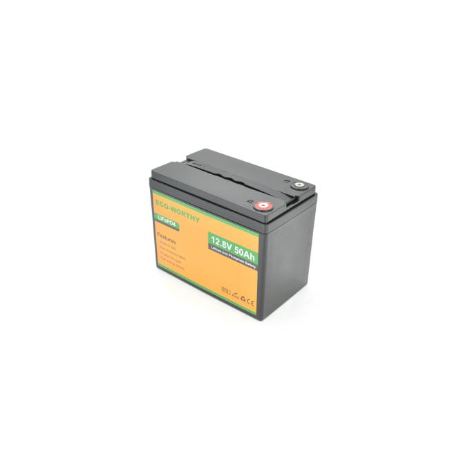 Dyness Eco-Worthy-1250