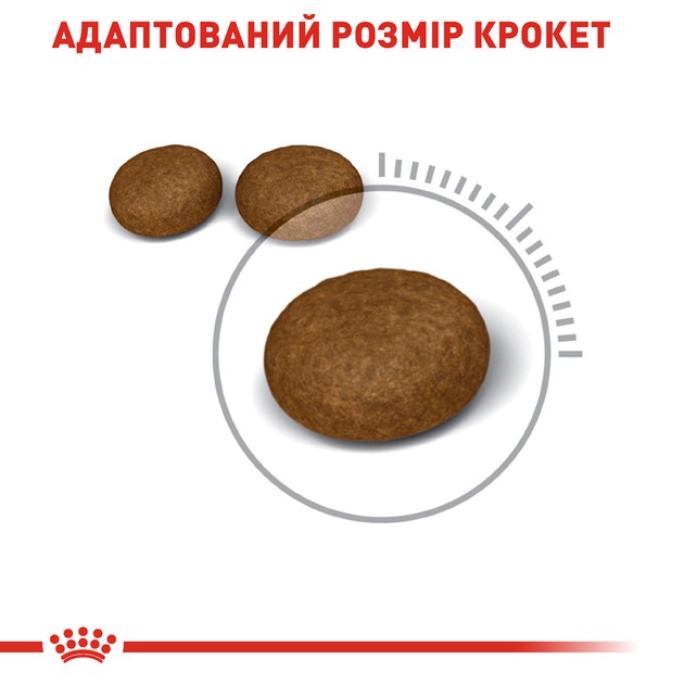 Royal Canin 2526004