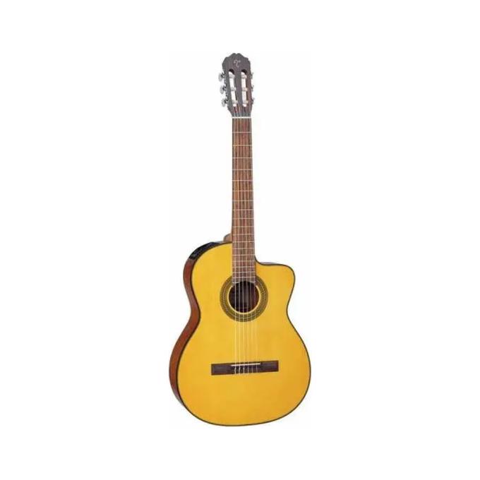 Takamine 221975