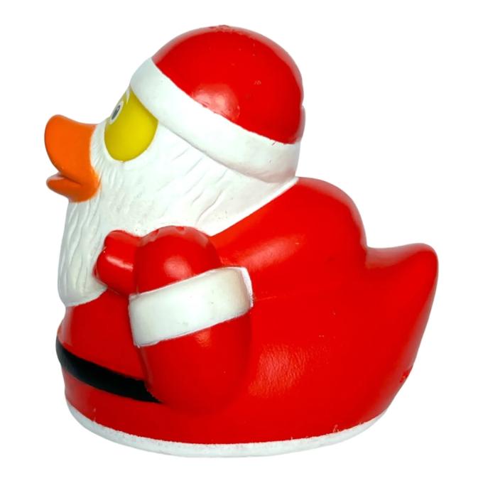 Funny Ducks 1322