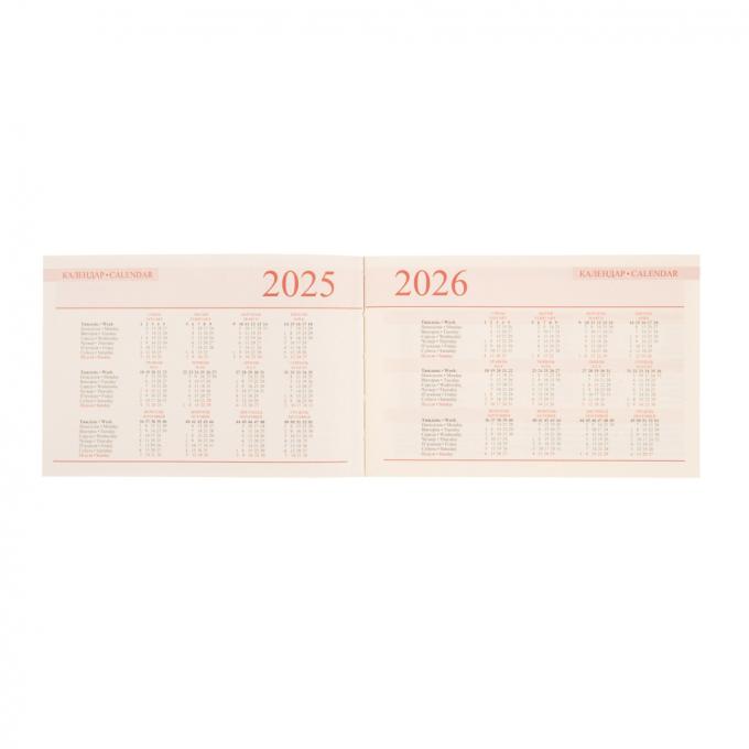Leo planner 252570