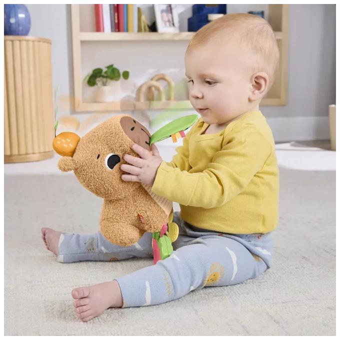 Fisher-Price HYR54