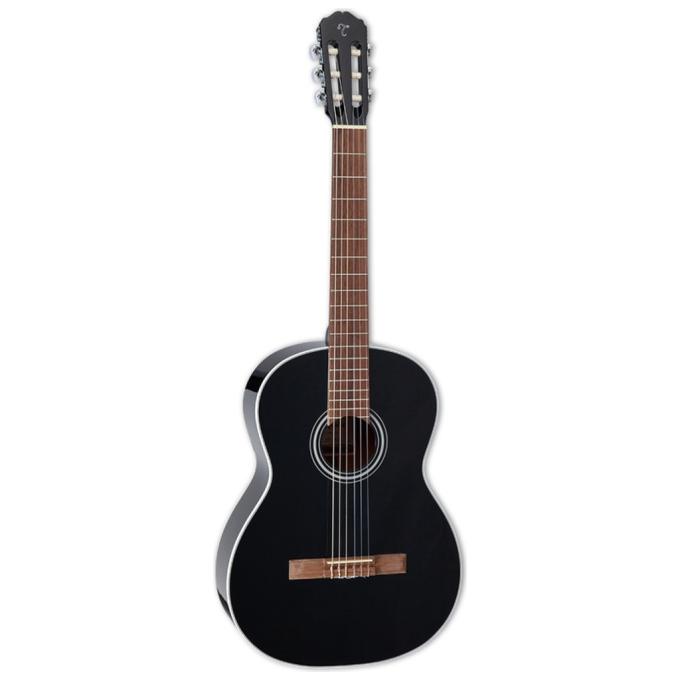 Takamine 231028