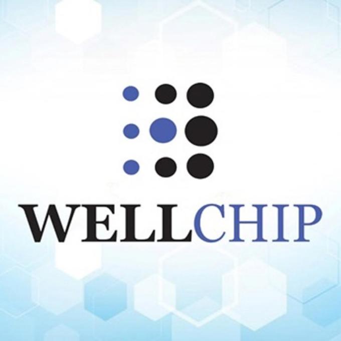 WELLCHIP CHPCF217AU