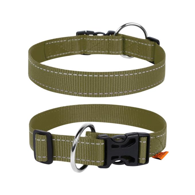 Dog Extreme 016231