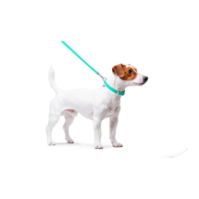 WAUDOG 337213