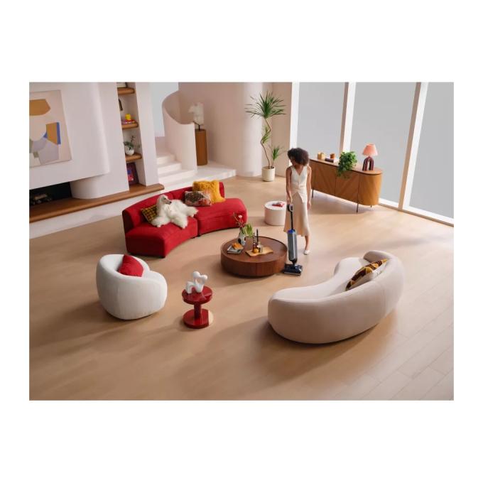 Tineco FW2C0700DE