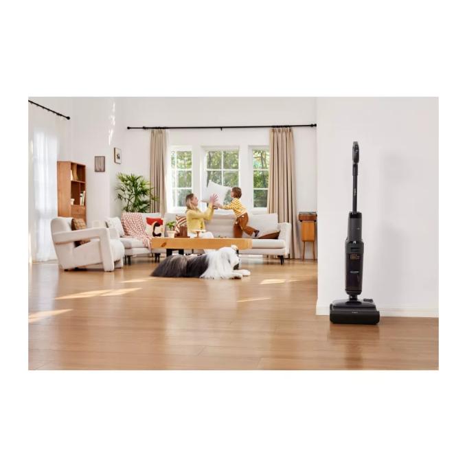 Tineco FW420400DE