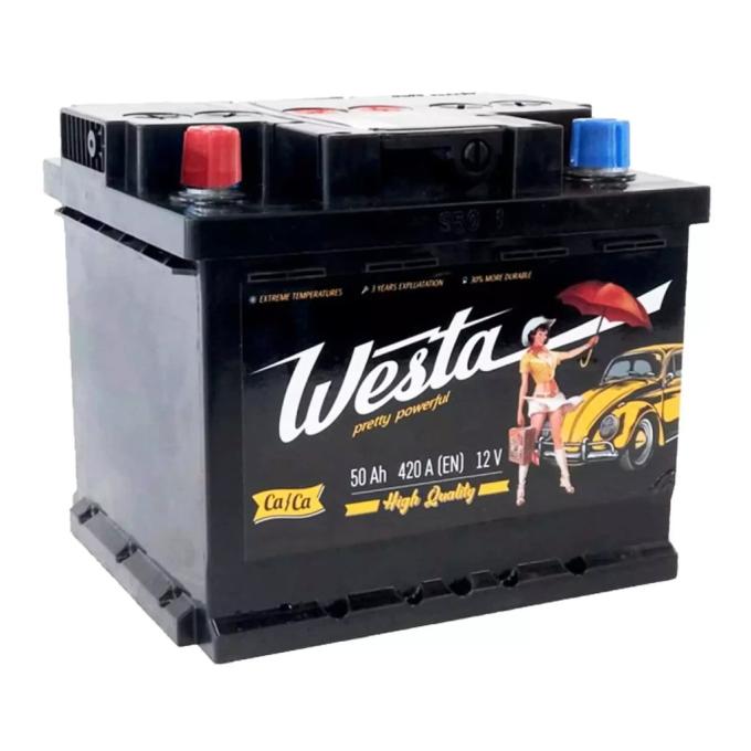 Westa 6CT-50 А (1) Pretty Powerful