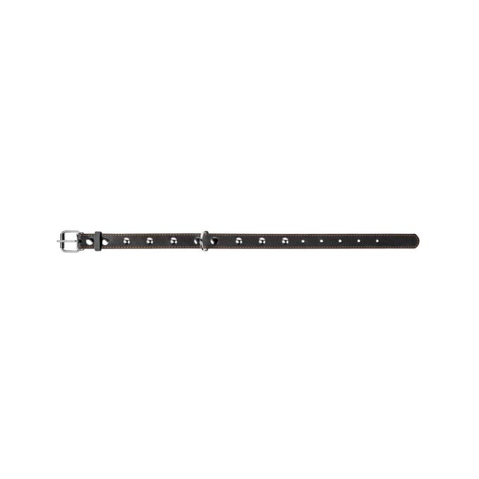 Collar 01351
