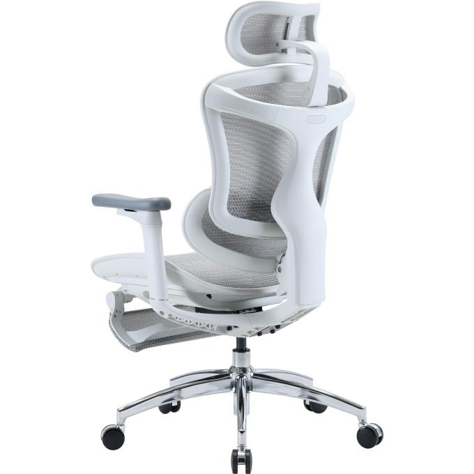 Sihoo DORO-C300L-A3-102-JT