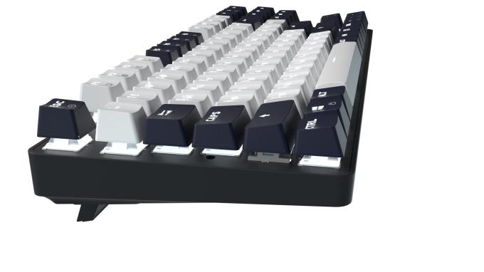 GamePro MK110B
