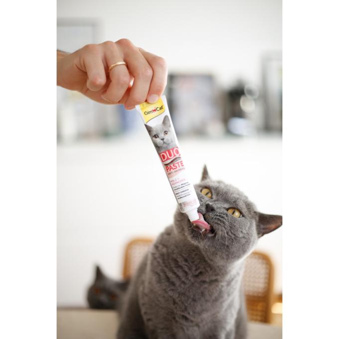 GimCat 4002064427201