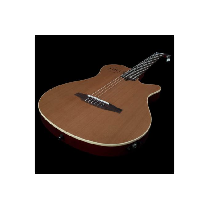 Godin 235919