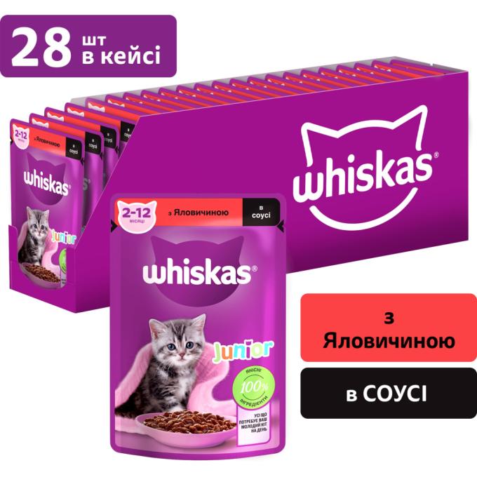 Whiskas 5900951301957