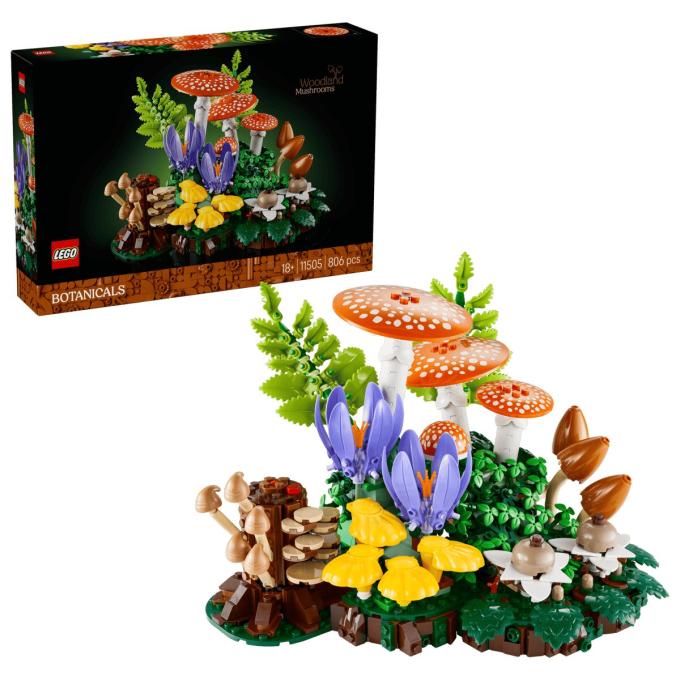 LEGO 11505