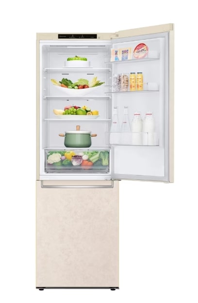 LG GC-B459SECL