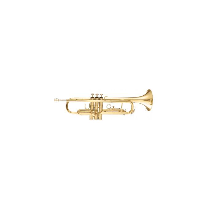 Maxtone TTC30L (TTC1C)