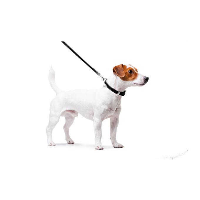 WAUDOG 33721