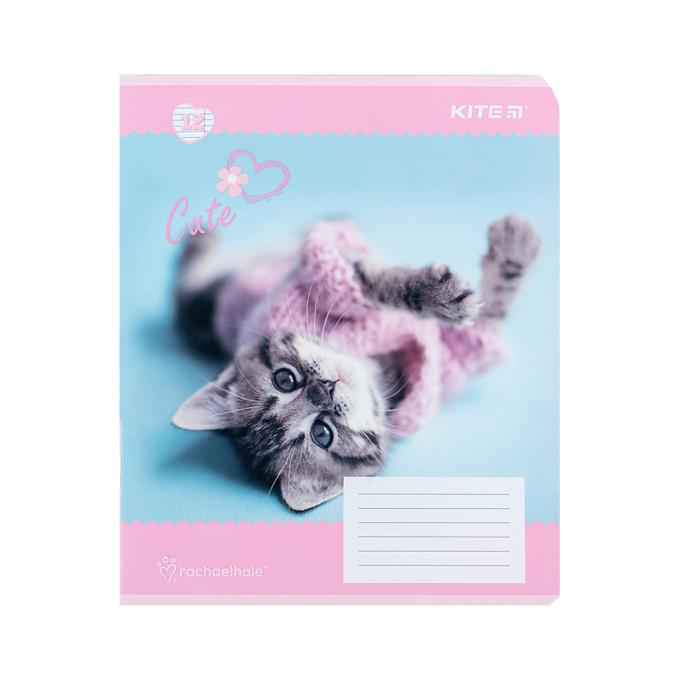 Kite R24-234