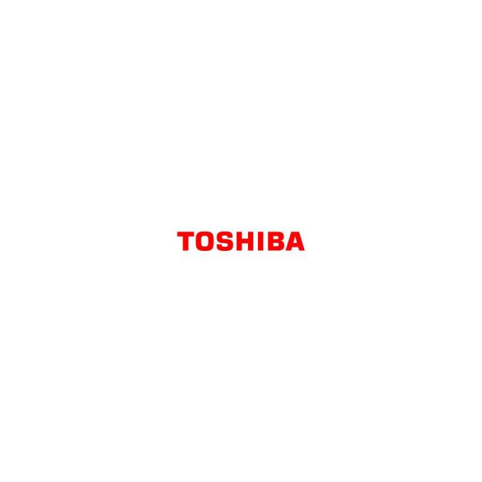 TOSHIBA 6AJ00000268