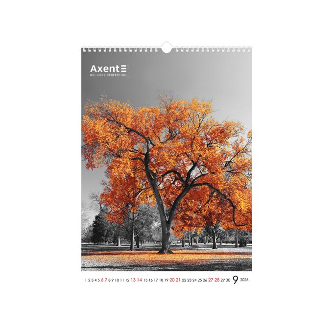 Axent 8804-25-2-A