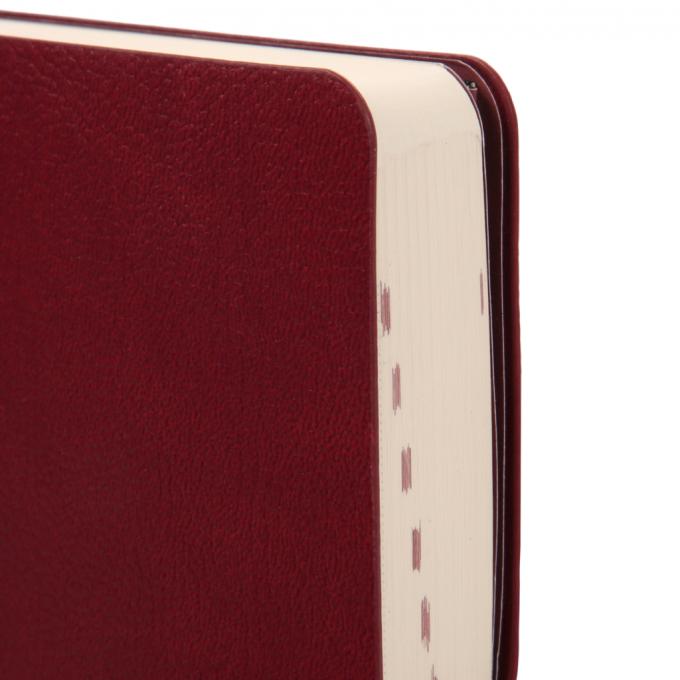 Leo planner 252630