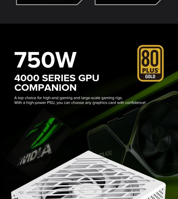 GAMEMAX GX-750 PRO WH(ATX3.1PCIe5.1)