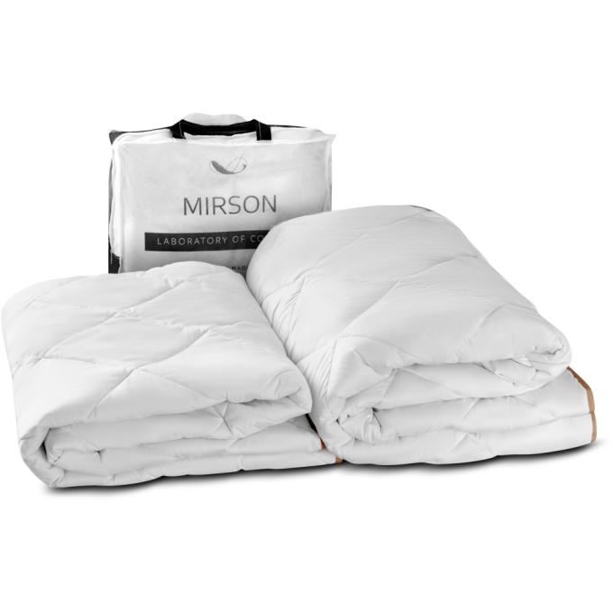 MirSon 2200000015273