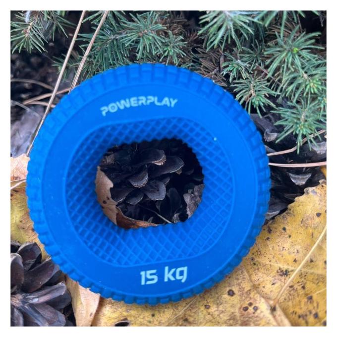 PowerPlay PP_4333_Blue_15kg