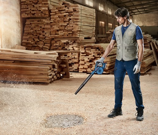 BOSCH 0.601.9F5.100