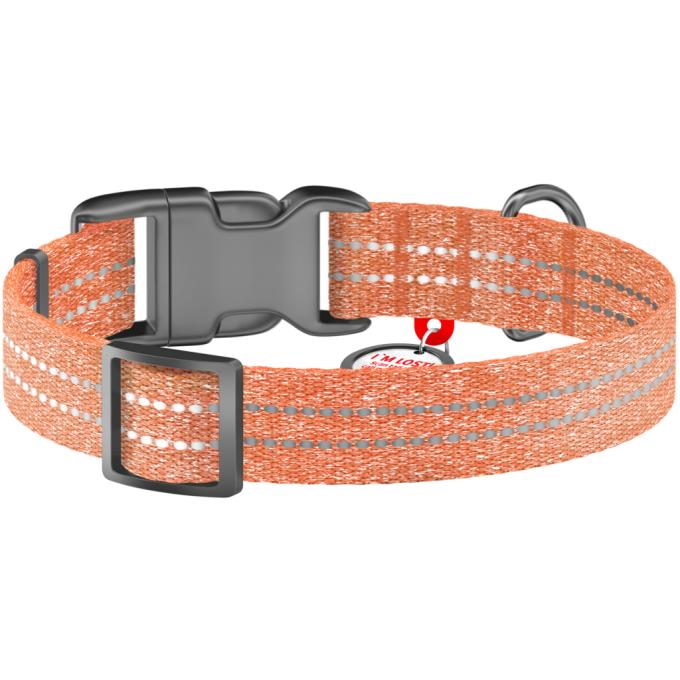 WAUDOG 02864